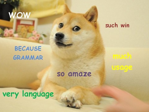 stan carey - doge meme - wow, such win, because grammar, so amaze, much usage, very language